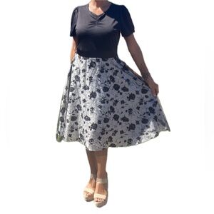 Brand New Fancy Dress